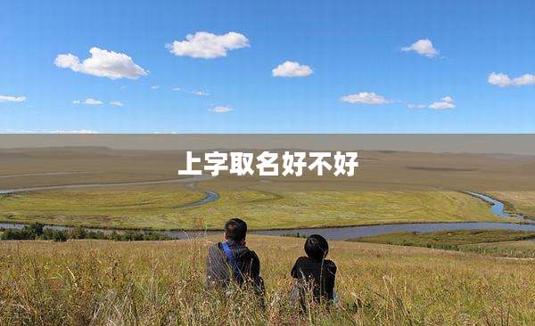 上字取名好不好