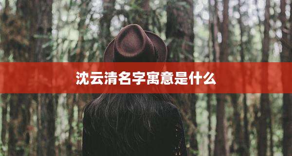沈云清名字寓意是什么
