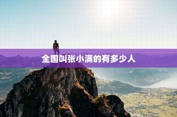 全国叫张小满的有多少人