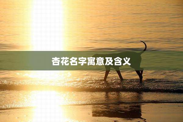 杏花名字寓意及含义