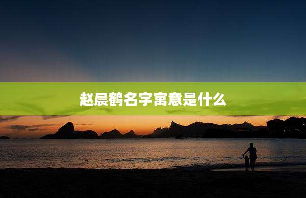 赵晨鹤名字寓意是什么