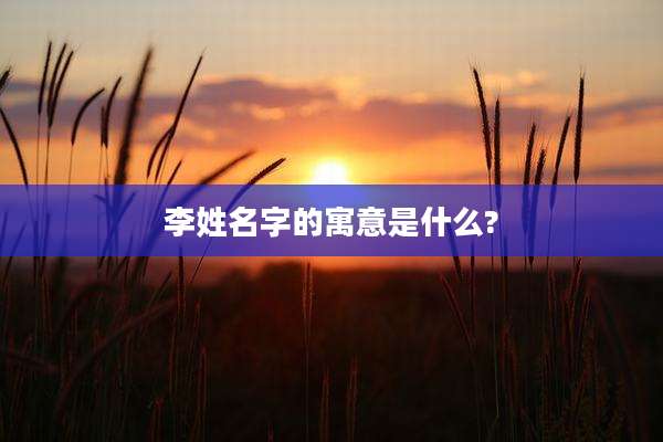 李姓名字的寓意是什么?