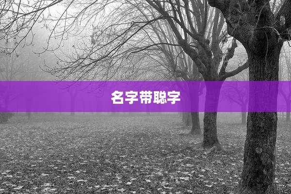 名字带聪字