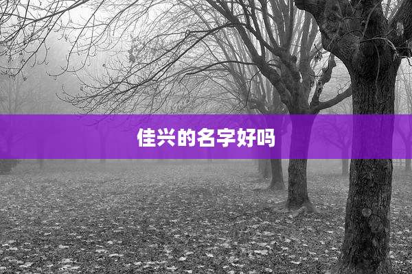 佳兴的名字好吗