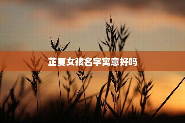 芷夏女孩名字寓意好吗