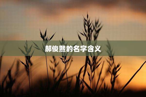 郝俊熙的名字含义