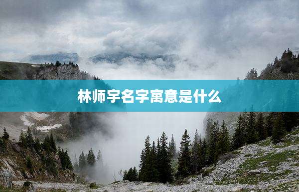 林师宇名字寓意是什么