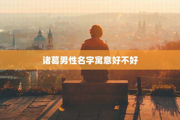 诸葛男性名字寓意好不好