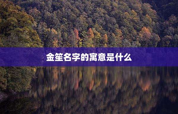 金笙名字的寓意是什么