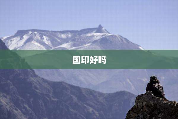 国印好吗