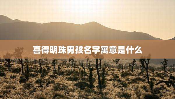 喜得明珠男孩名字寓意是什么