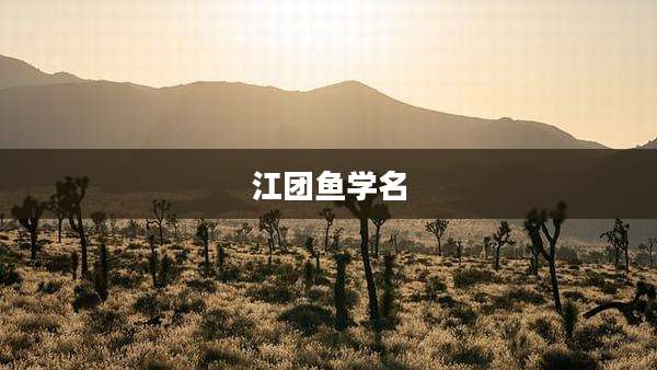 江团鱼学名