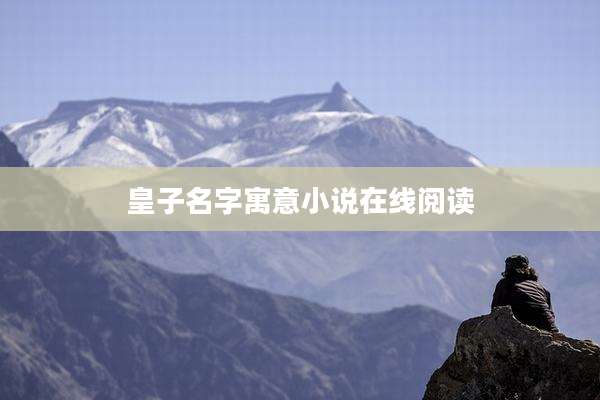 皇子名字寓意小说在线阅读