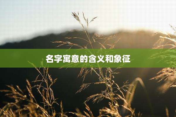 名字寓意的含义和象征