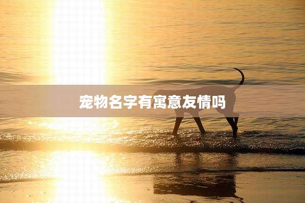 宠物名字有寓意友情吗