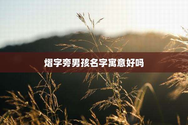 熠字旁男孩名字寓意好吗