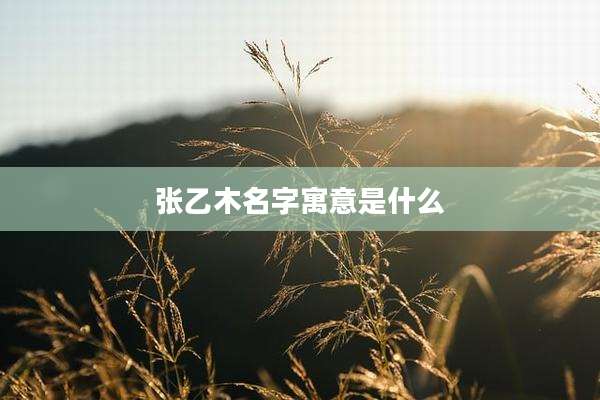 张乙木名字寓意是什么