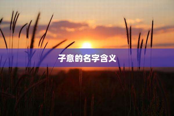 子意的名字含义
