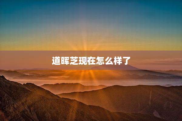 道晖芝现在怎么样了