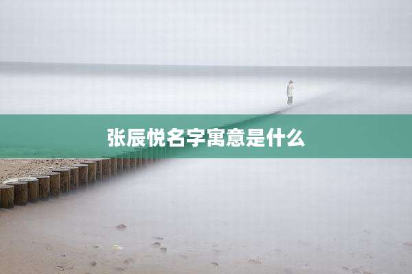 张辰悦名字寓意是什么
