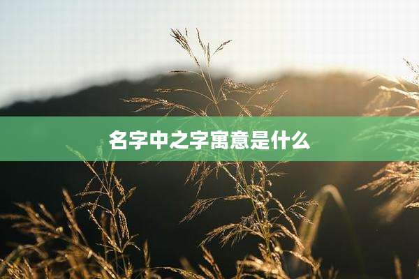 名字中之字寓意是什么