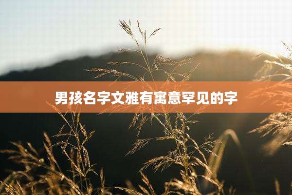 男孩名字文雅有寓意罕见的字