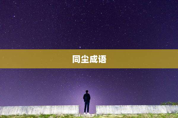 同尘成语