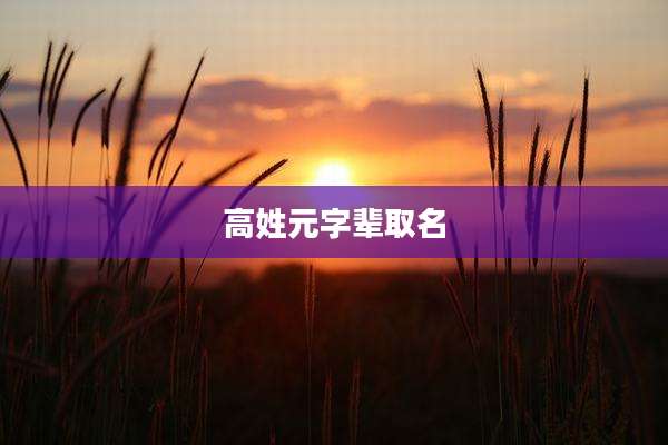 高姓元字辈取名