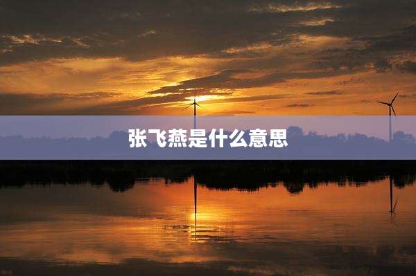 张飞燕是什么意思