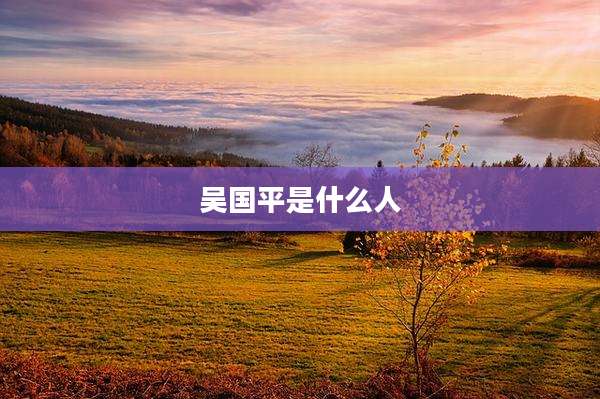 吴国平是什么人