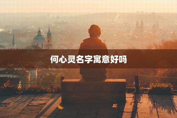 何心灵名字寓意好吗