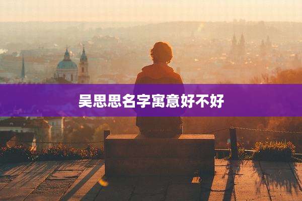 吴思思名字寓意好不好