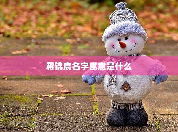 蒋锦宸名字寓意是什么