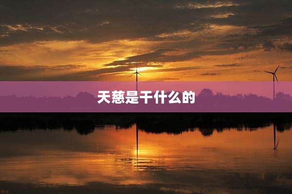 天慈是干什么的