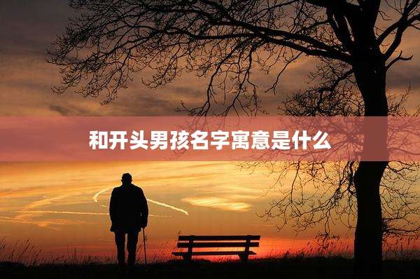 和开头男孩名字寓意是什么