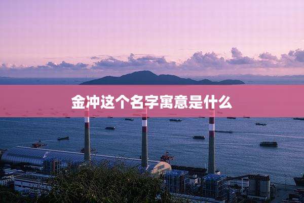 金冲这个名字寓意是什么