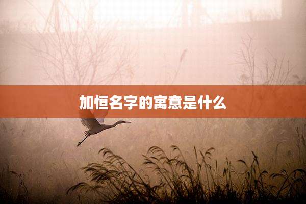 加恒名字的寓意是什么