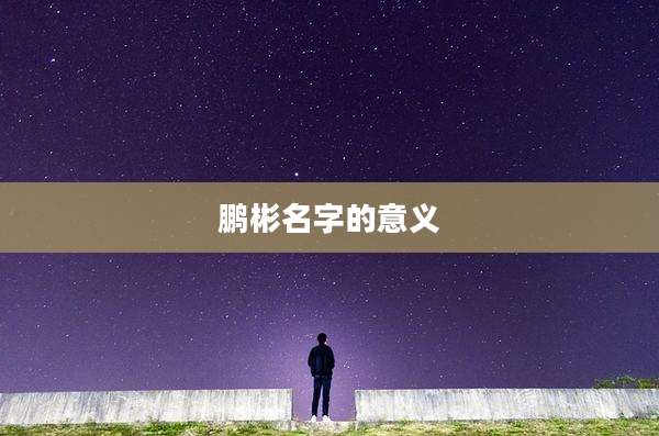 鹏彬名字的意义