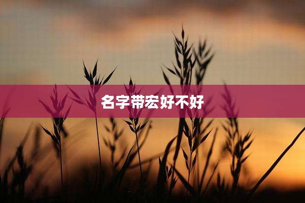 名字带宏好不好