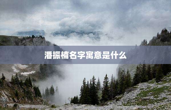 潘振楠名字寓意是什么