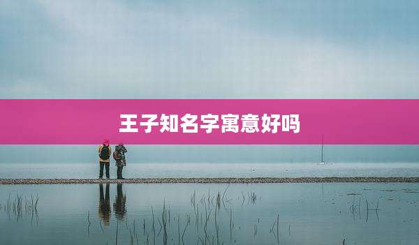 王子知名字寓意好吗