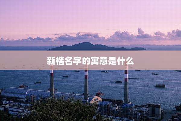 新楷名字的寓意是什么
