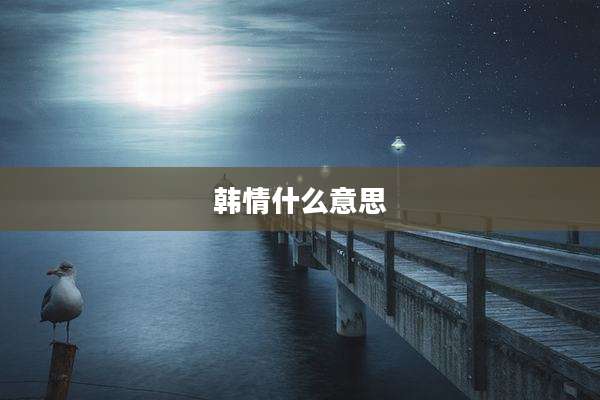 韩情什么意思