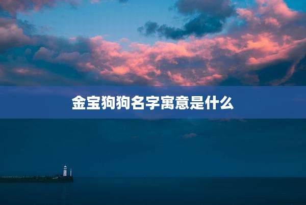 金宝狗狗名字寓意是什么