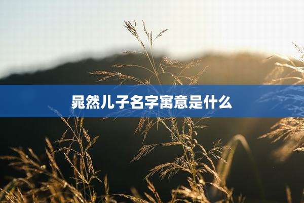 晁然儿子名字寓意是什么