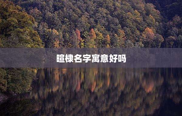 暄棣名字寓意好吗