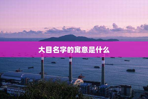 大目名字的寓意是什么