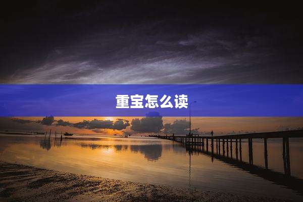 重宝怎么读