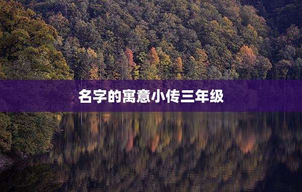 名字的寓意小传三年级