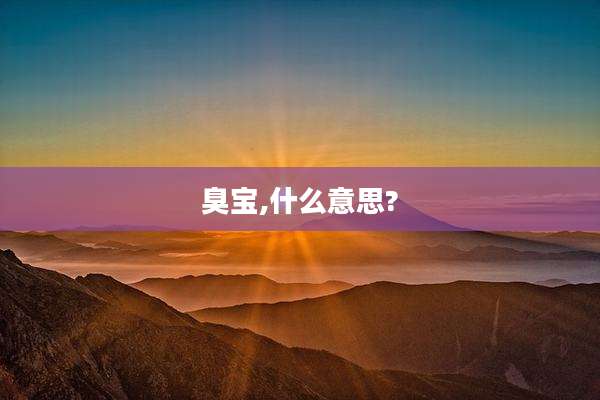 臭宝,什么意思?